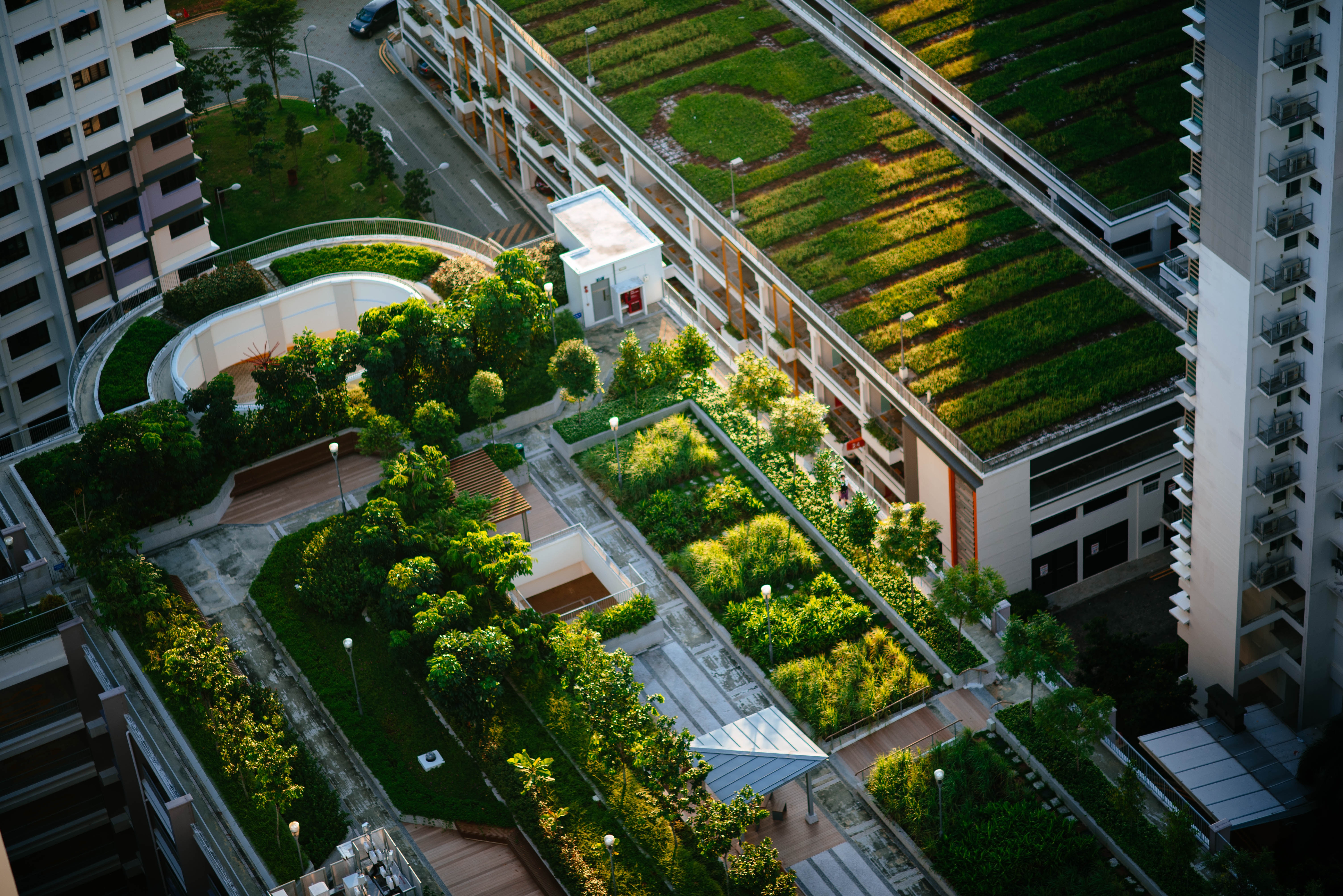 Sustainable Design.  Green Roof