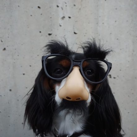 Imposter Syndrome